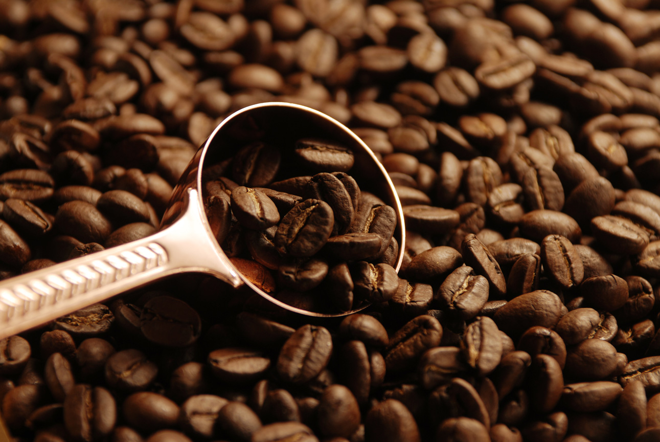 コーヒー豆のトップセールスから 自立 を２つの視点で見る